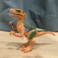 Dinosaure en Jouet: Dinosaure raptor jouet