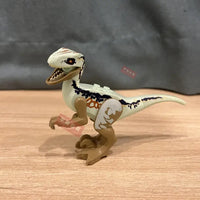 Dinosaure en Jouet: Dinosaure raptor jouet