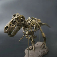 Figurine Dinosaure: Dinosaure Squelette Eoraptor