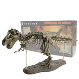 Figurine Dinosaure: Dinosaure Squelette Eoraptor