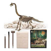 Jeu Archéologie: Kit fossile dinosaure