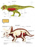 Jeu Archéologie: Kit paléontologie dinosaure