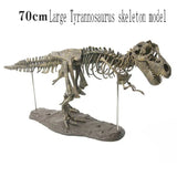 Maquette Dinosaure: Maquette squelette tyrannosaure