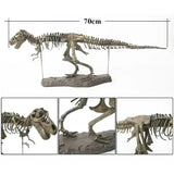 Maquette Dinosaure: Maquette squelette tyrannosaure