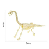 Dinosaure à Construire: Squelette t rex a monter