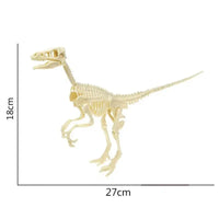 Dinosaure à Construire: Squelette t rex a monter