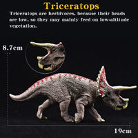 Dinosaure en Jouet: Triceratops jouet